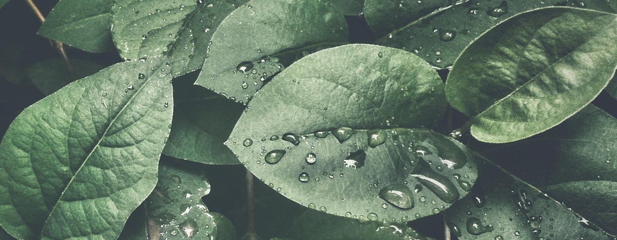 The Pain of Verbal Abuse: Impact on People With Disabilities | Relias