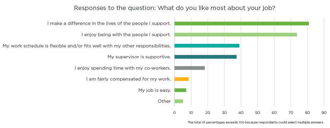 Relias DSP Survey Results - Likes About Job