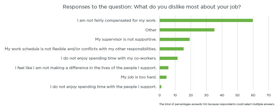 Relias DSP Survey Results - Dislikes About Job
