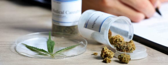 medical marijuana prescribed by doctor