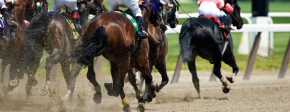 horses racing around a track