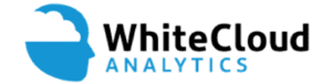 WhiteCloud Analytics logo